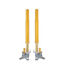 Fourche Ohlins FGR300