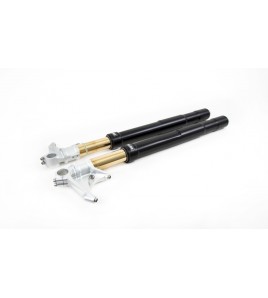 Fourche Ohlins FGRT DUCATI PANIGALE 899/959/V4 | noir