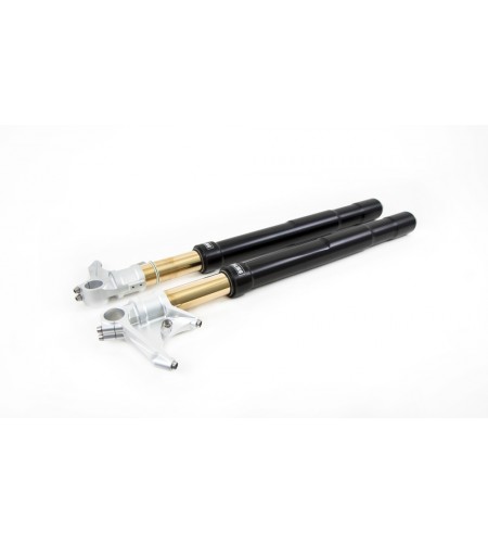 Fourche Ohlins FGRT DUCATI PANIGALE 899/959/V4 | noir