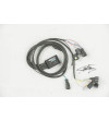 Quickshifter Translogic IS4 ECU Intellishift