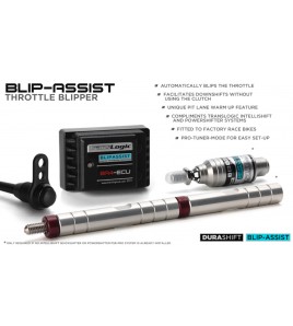 Downshift blip assist Translogic BA4 ECU