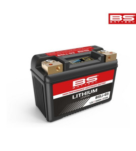 Batterie lithium LifeP04 12v | BS Battery BSLI-03