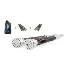 Kit cartouches Ohlins FKR132 TTX25 pressurise Yamaha YZF-R9 / YZF-R1 GYTR 2025